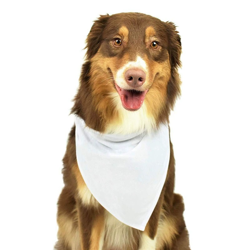 30pcs White Polyester Blank Do – Bandana Blank White recenzja i cena