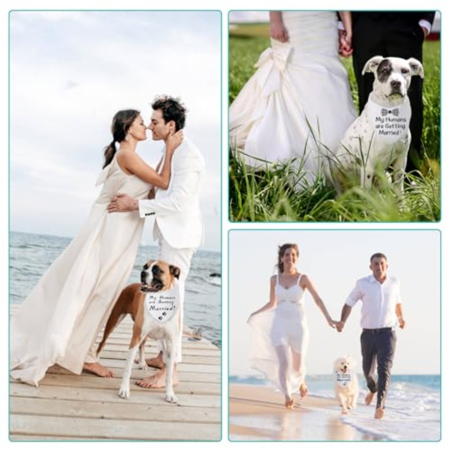 Blank Dog Bandanas Large-1PCS, – Bandana Blank White recenzja i cena